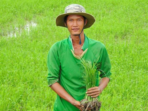 Ông bí thư khởi nghiệp
