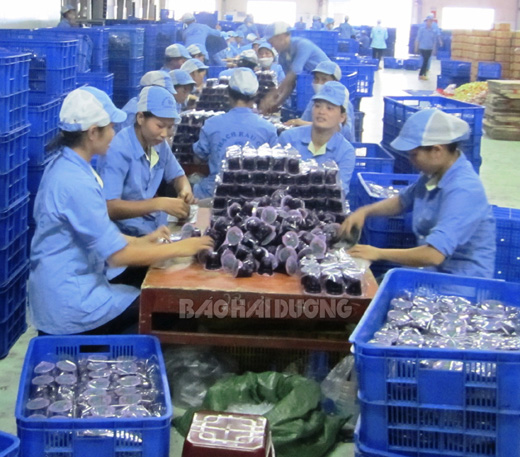 Nguồn tín dụng ưu đãi giúp doanh nghiệp vượt khó